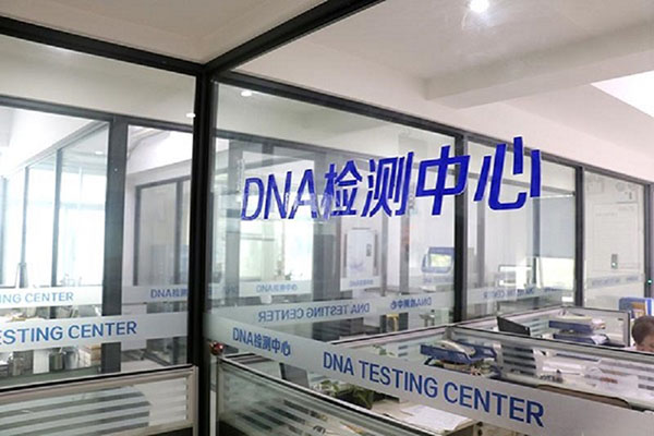ͨDNAӼ